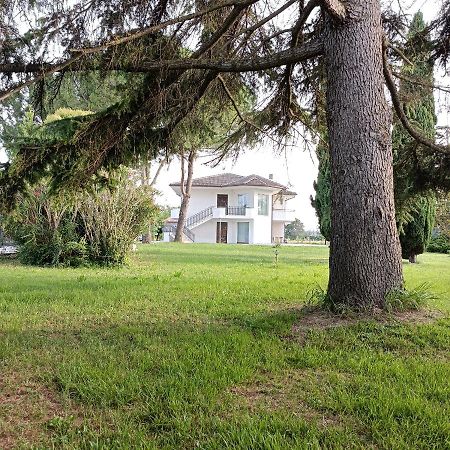 Casa Michelangelo Villa Morrovalle Buitenkant foto